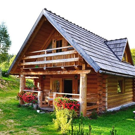 Lesniowka Domki W Karpaczu 외부 사진