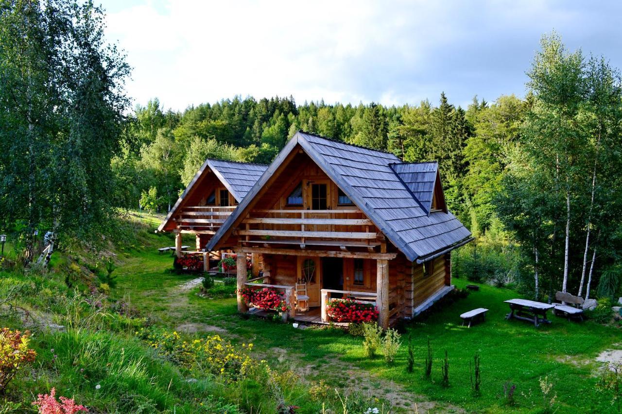 Lesniowka Domki W Karpaczu 외부 사진